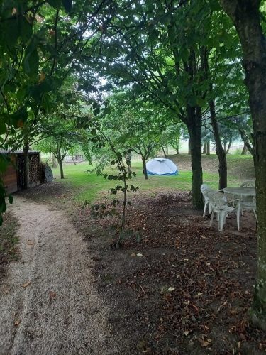 Chemin dans cour extérieure en pleine nature des Grands Près 70