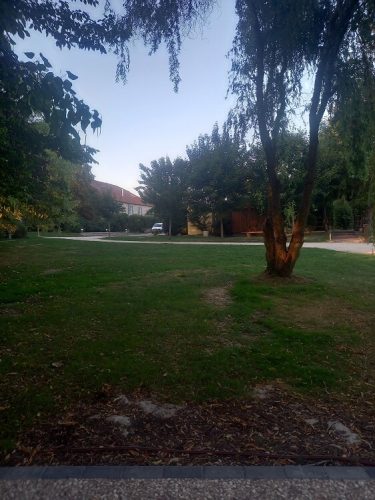 foret-chambre-d-hote-haute-saone-70